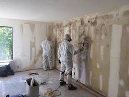 Best Attic Mold Removal  in Humboldt Hill, CA